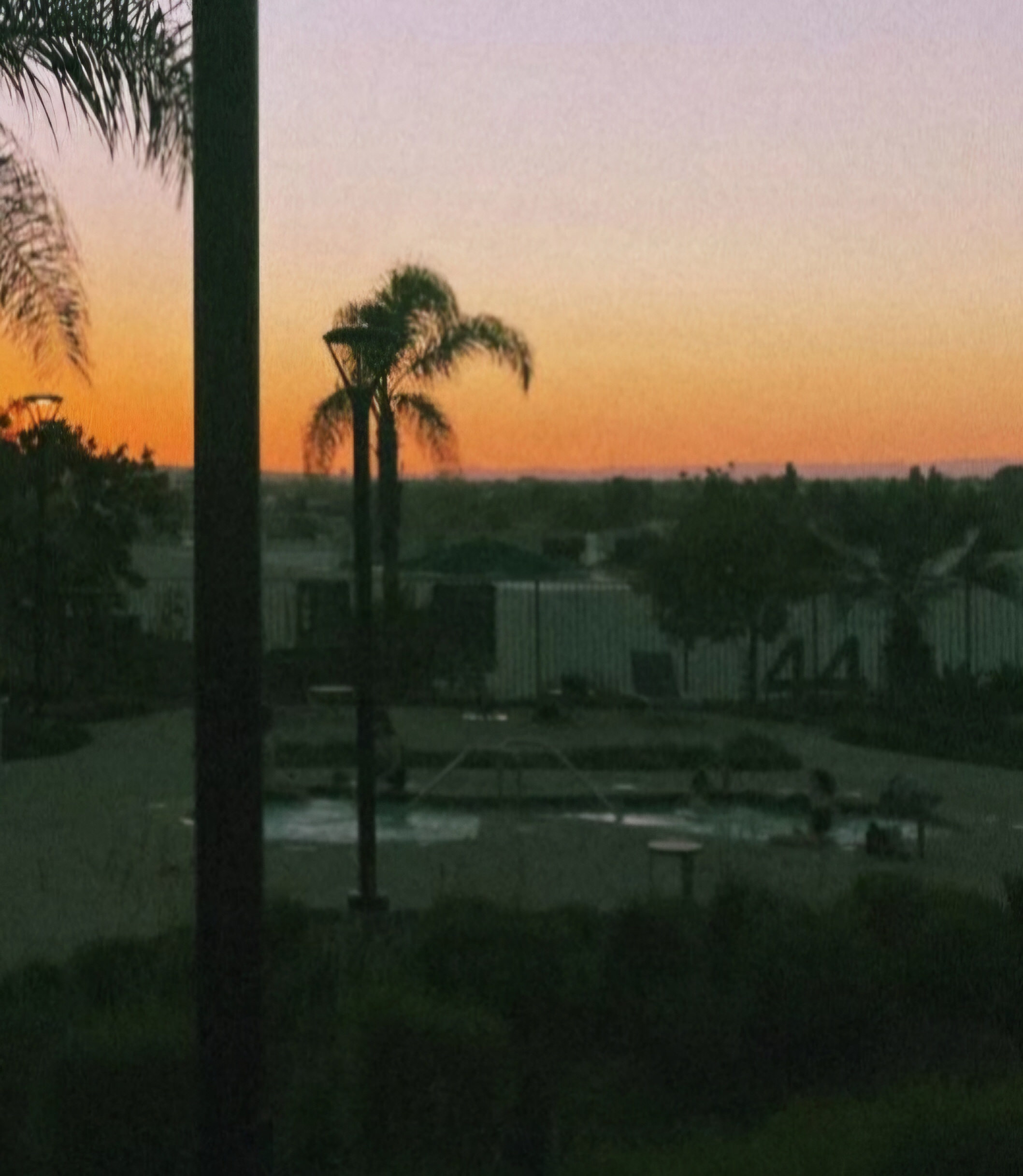 Cali